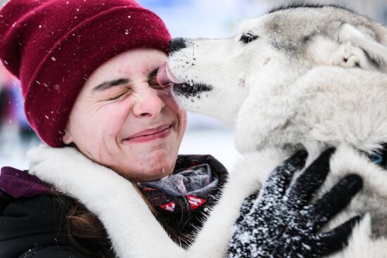 Russia Sled Dog Race