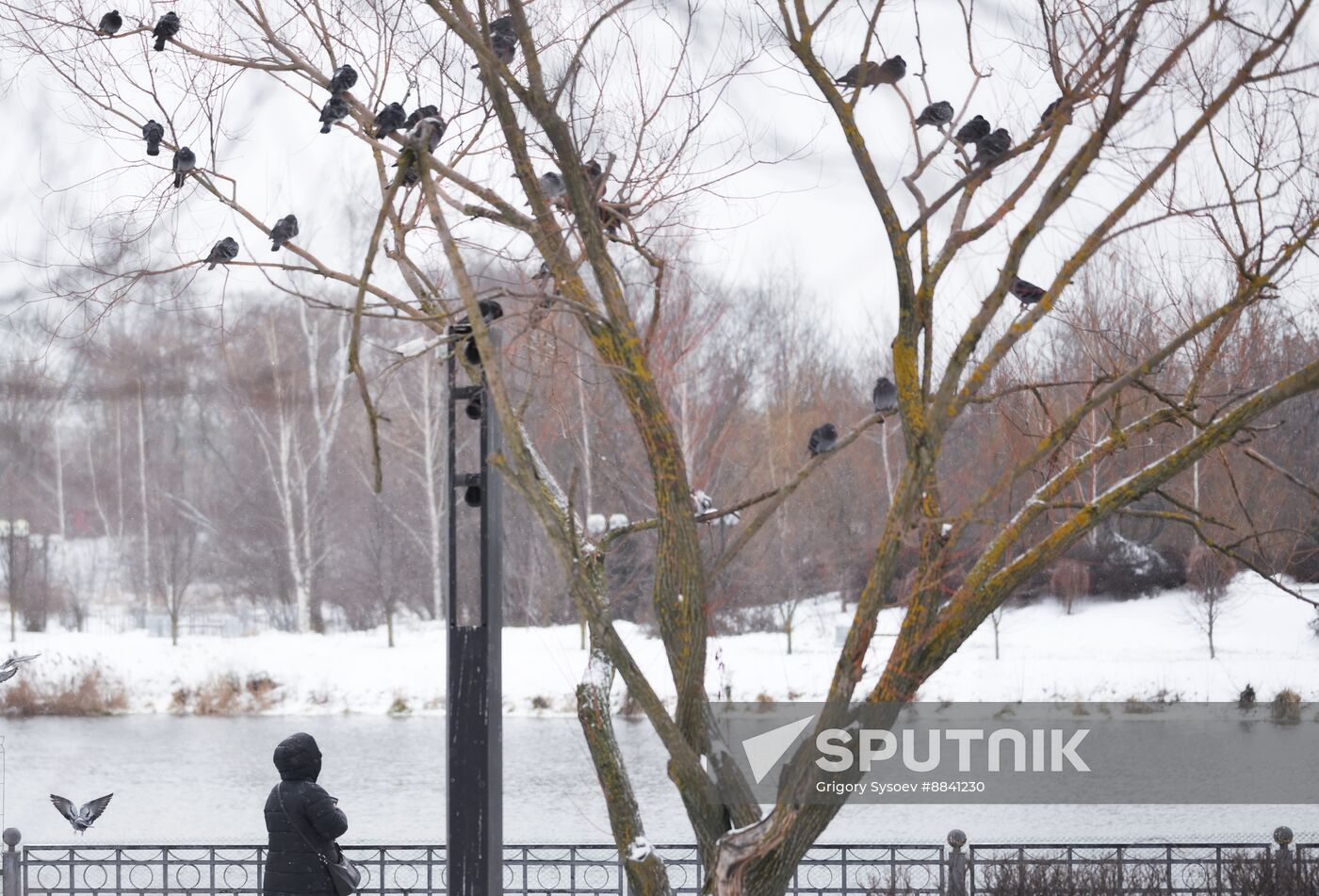 Russia Daily Life