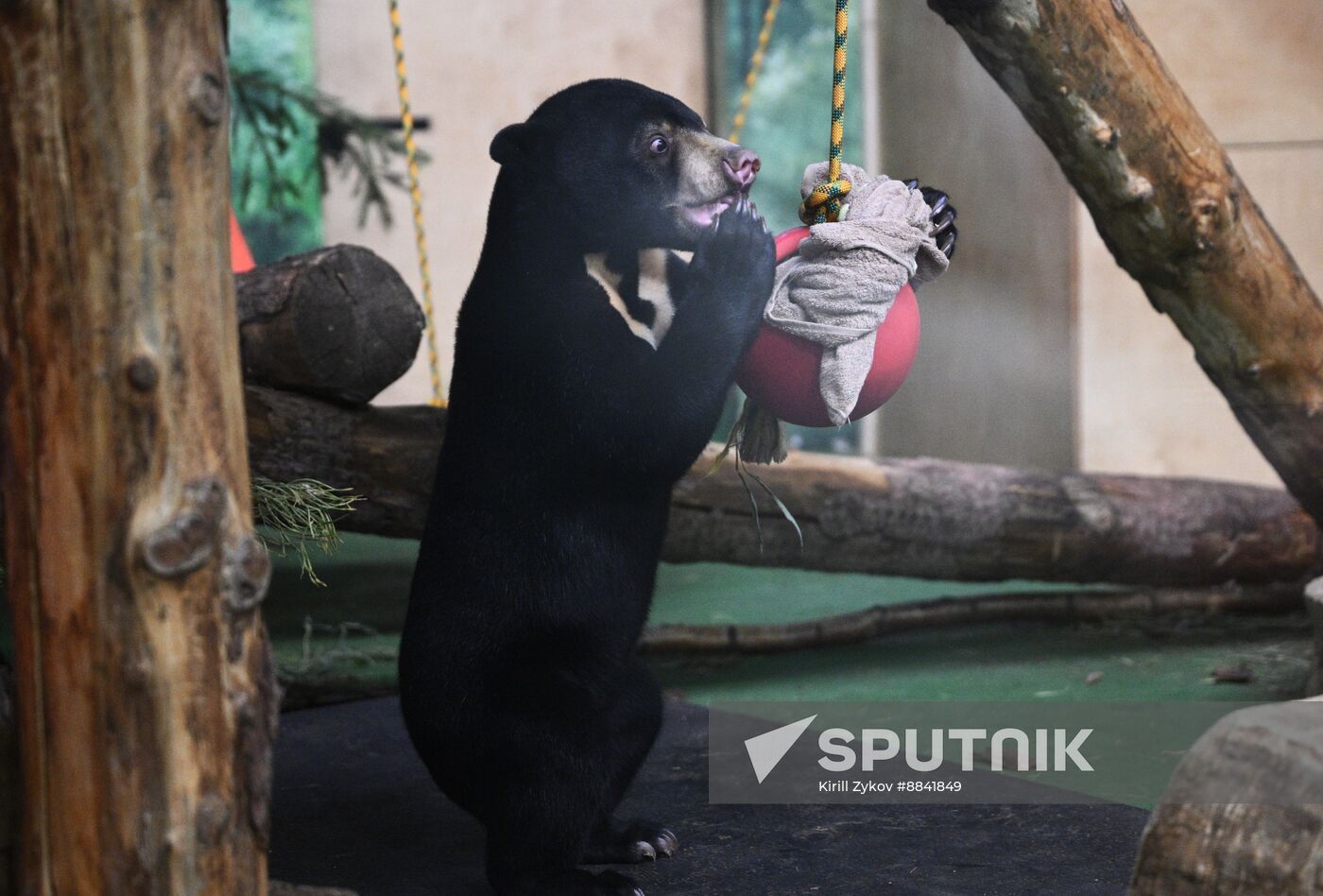 Russia Zoo