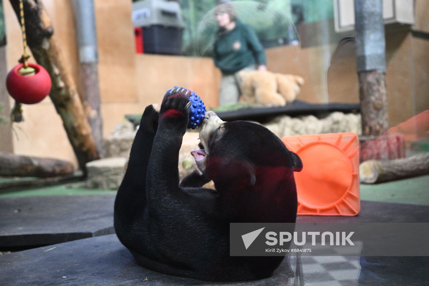 Russia Zoo