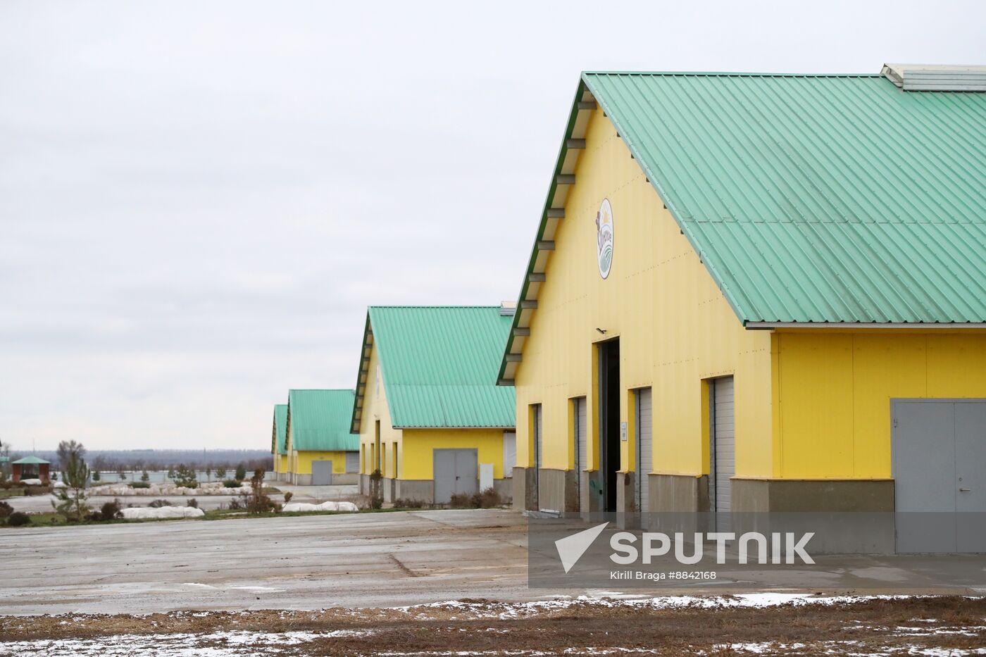 Russia Dairy Industry