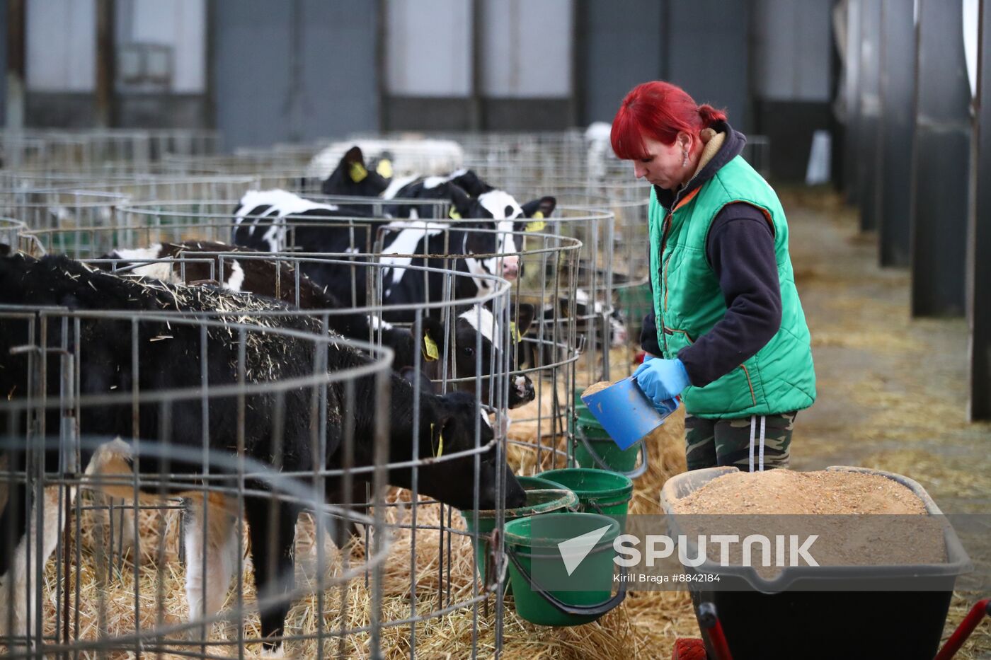Russia Dairy Industry