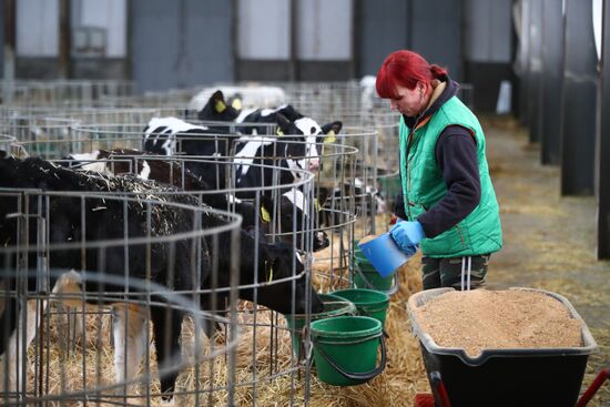 Russia Dairy Industry