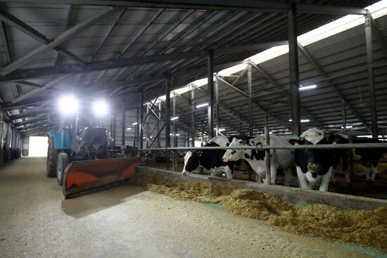 Russia Dairy Industry