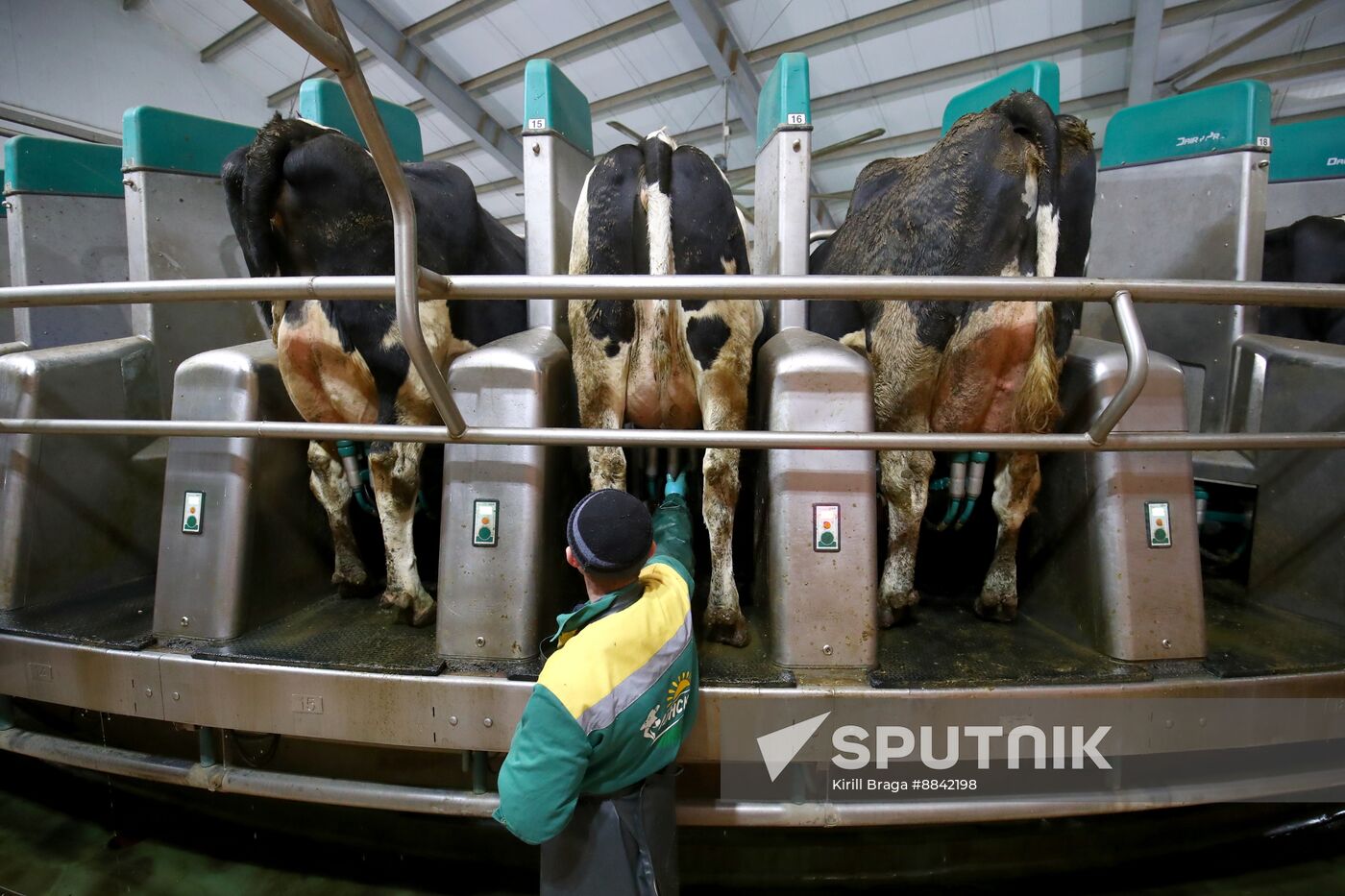 Russia Dairy Industry