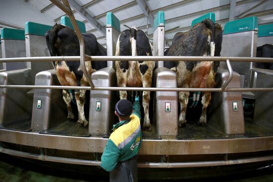 Russia Dairy Industry