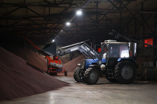 Russia Cosmetics Industry