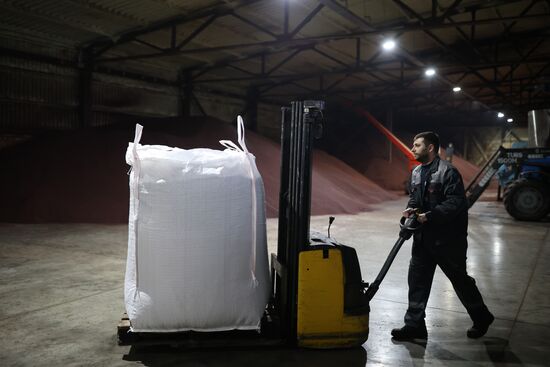 Russia Cosmetics Industry