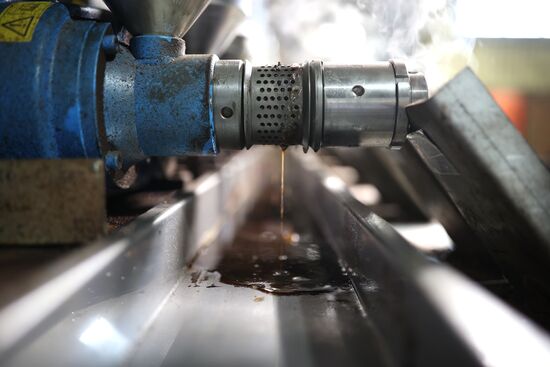 Russia Cosmetics Industry