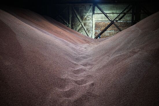 Russia Cosmetics Industry