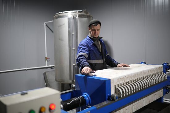 Russia Cosmetics Industry