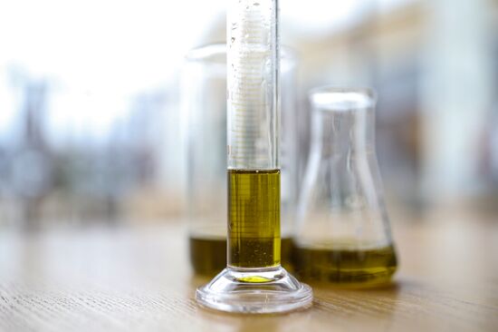 Russia Cosmetics Industry