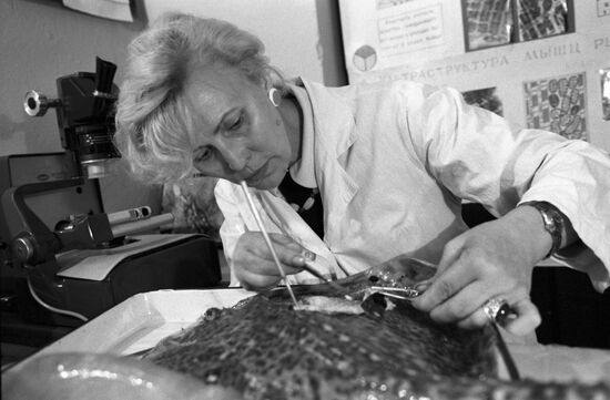 Karadag Nature Reserve