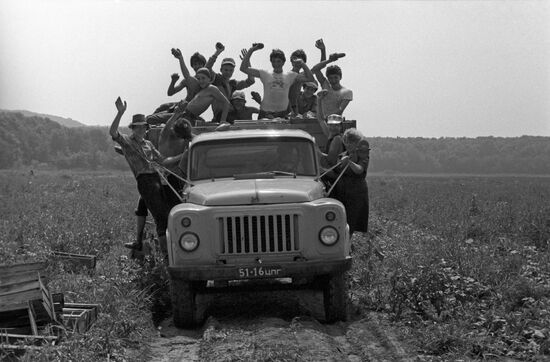 Summer-time fieldwork at labor and leisure camp