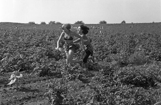 Summer-time fieldwork at labor and leisure camp