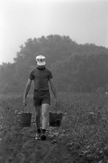 Summer-time fieldwork at labor and leisure camp