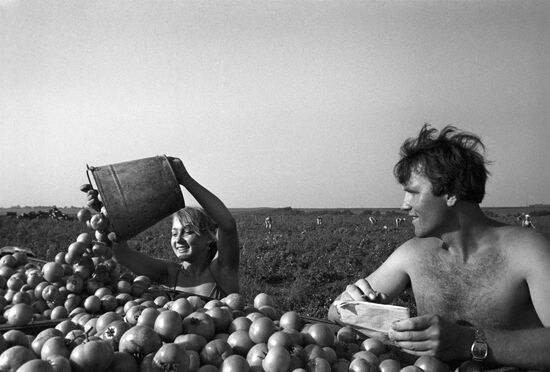 Summer-time fieldwork at labor and leisure camp