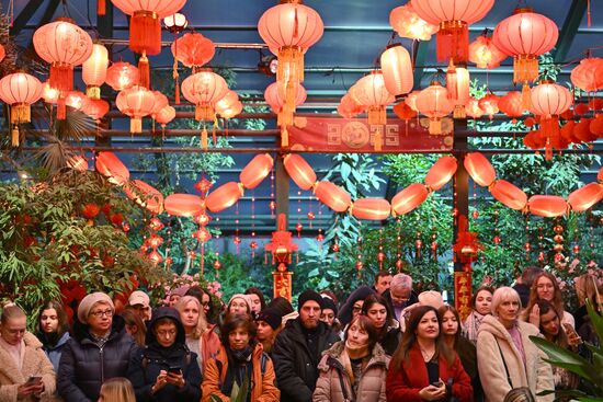 Russia Lunar New Year Preparations