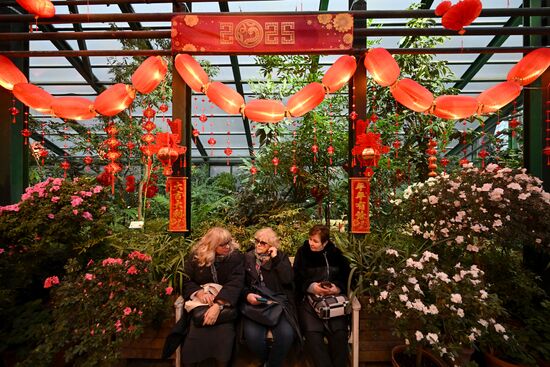 Russia Lunar New Year Preparations