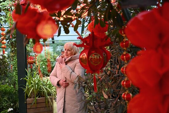 Russia Lunar New Year Preparations