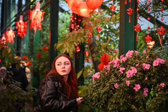 Russia Lunar New Year Preparations