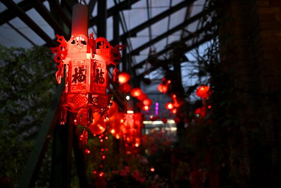 Russia Lunar New Year Preparations