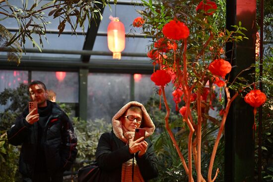 Russia Lunar New Year Preparations