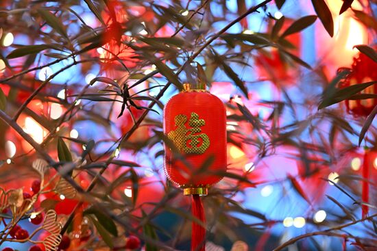 Russia Lunar New Year Preparations