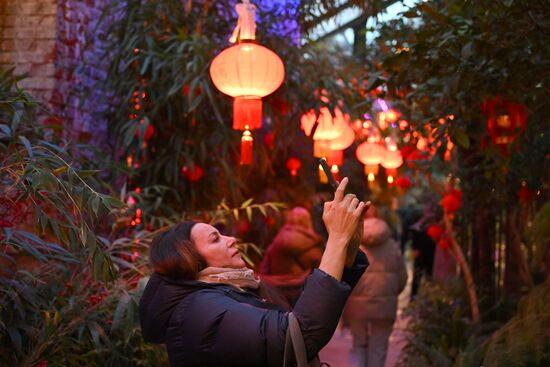 Russia Lunar New Year Preparations