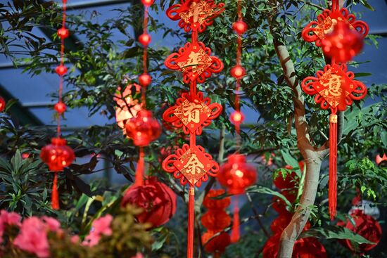 Russia Lunar New Year Preparations