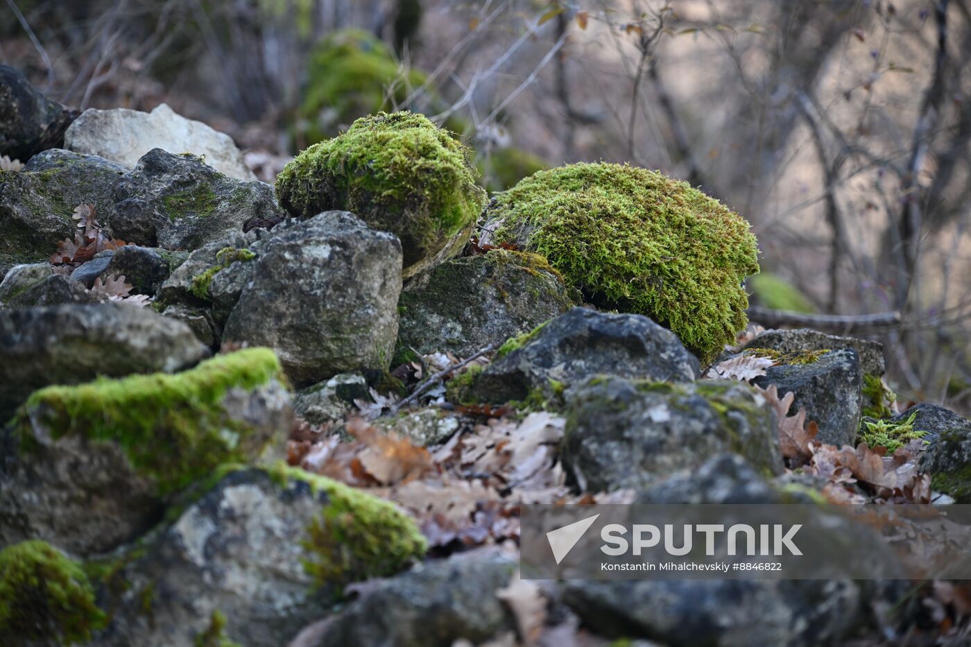 Russia Environment