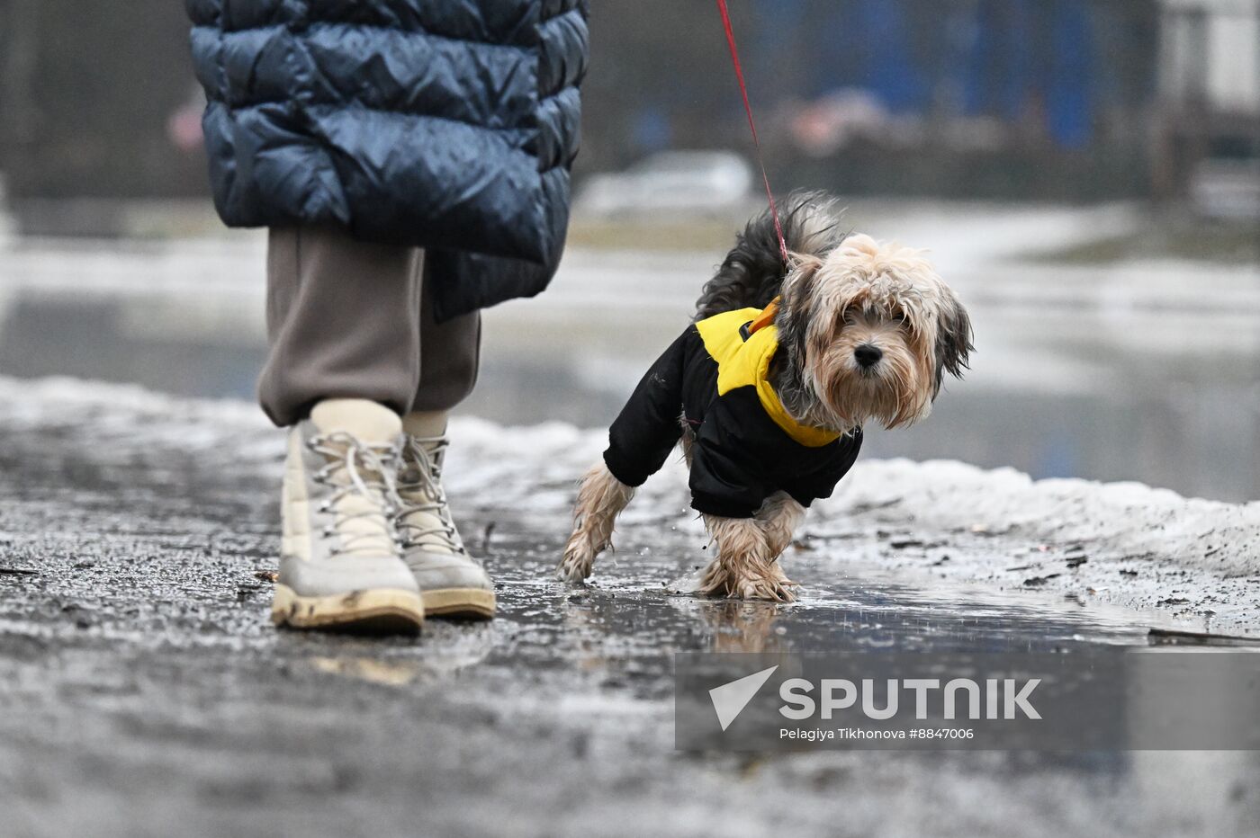 Russia Weather