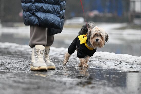 Russia Weather