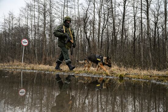 Belarus Ukraine Border