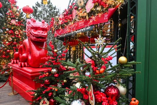 Russia Lunar New Year Festival