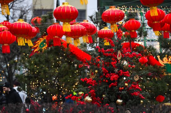 Russia Lunar New Year Festival