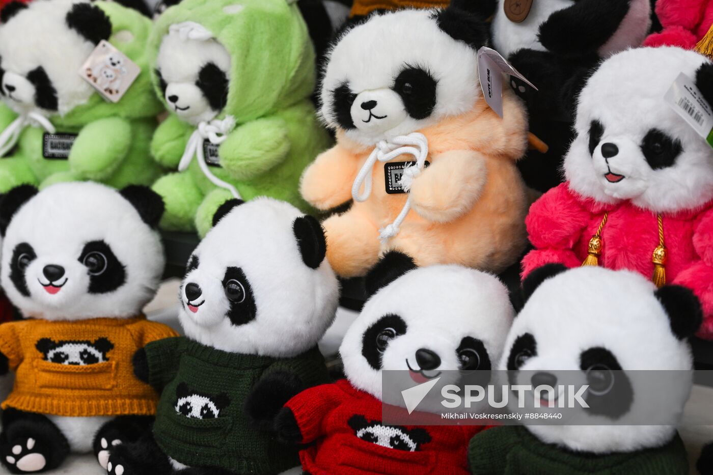 Russia Lunar New Year Festival