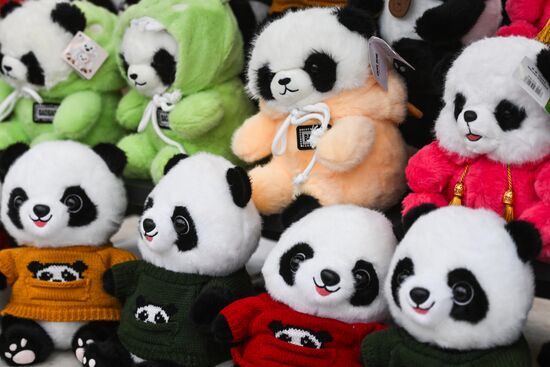 Russia Lunar New Year Festival