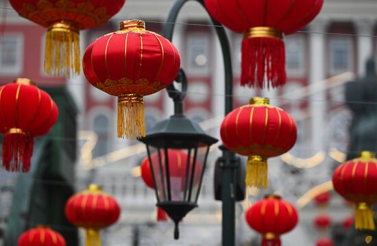 Russia Lunar New Year Festival