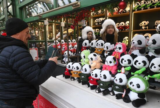 Russia Lunar New Year Festival