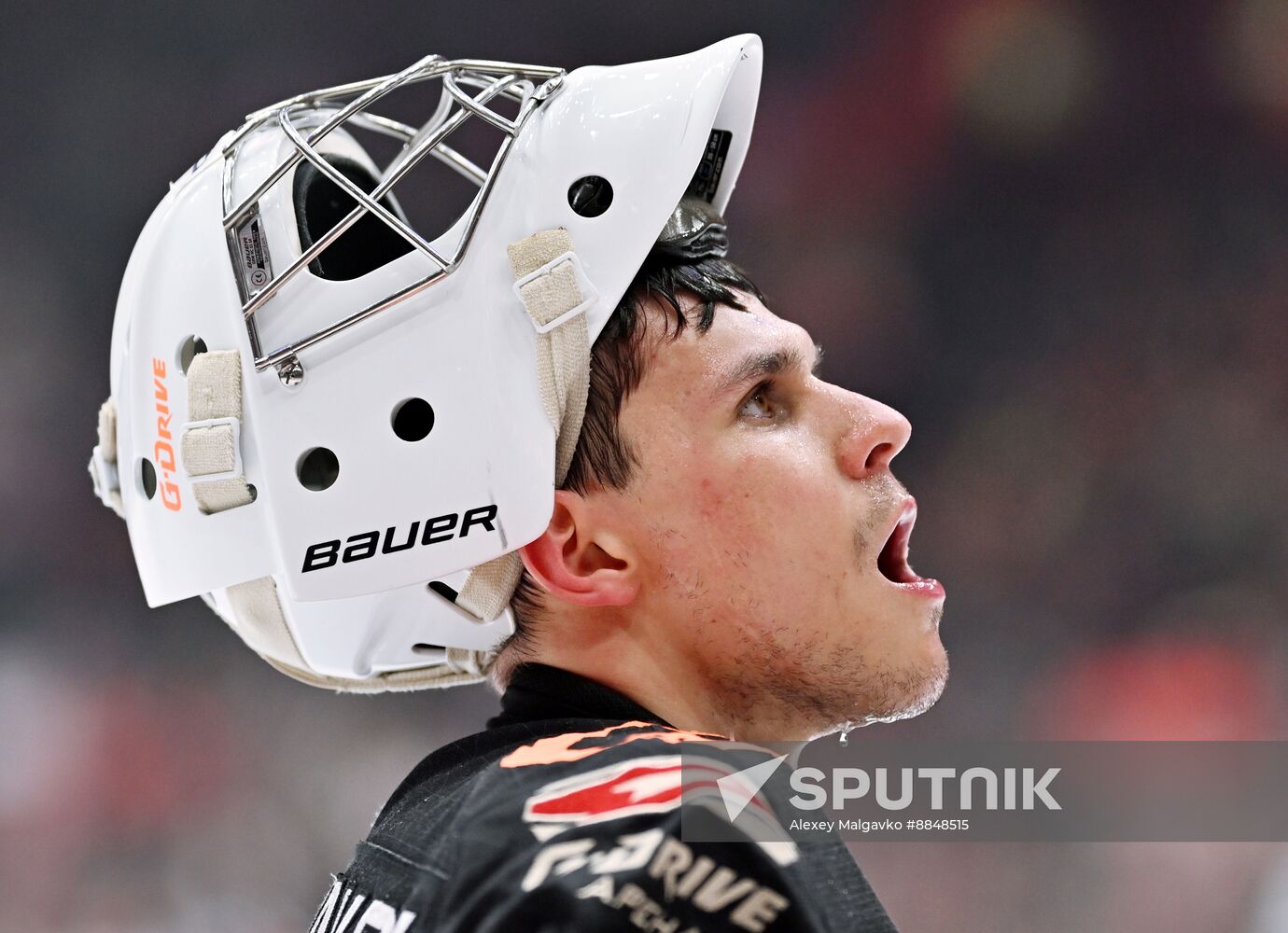 Russia Ice Hockey Kontinental League Avangard - Salavat Yulaev