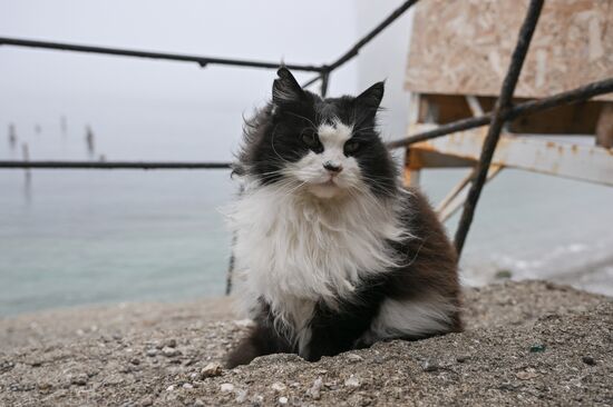 Russia Crimea Daily Life