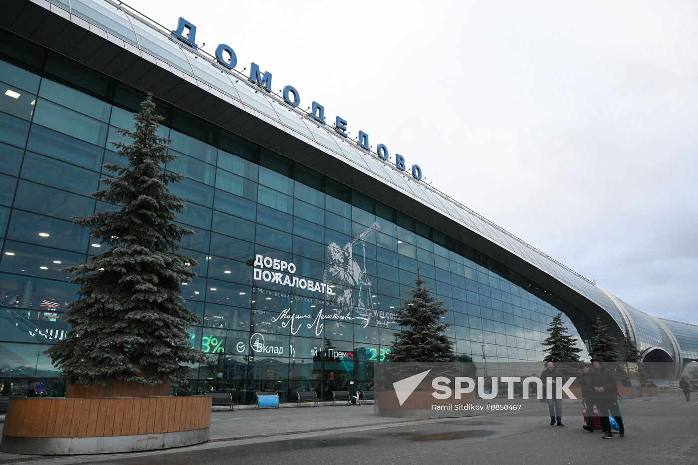Russia Domodedovo Airport Privatization Probe