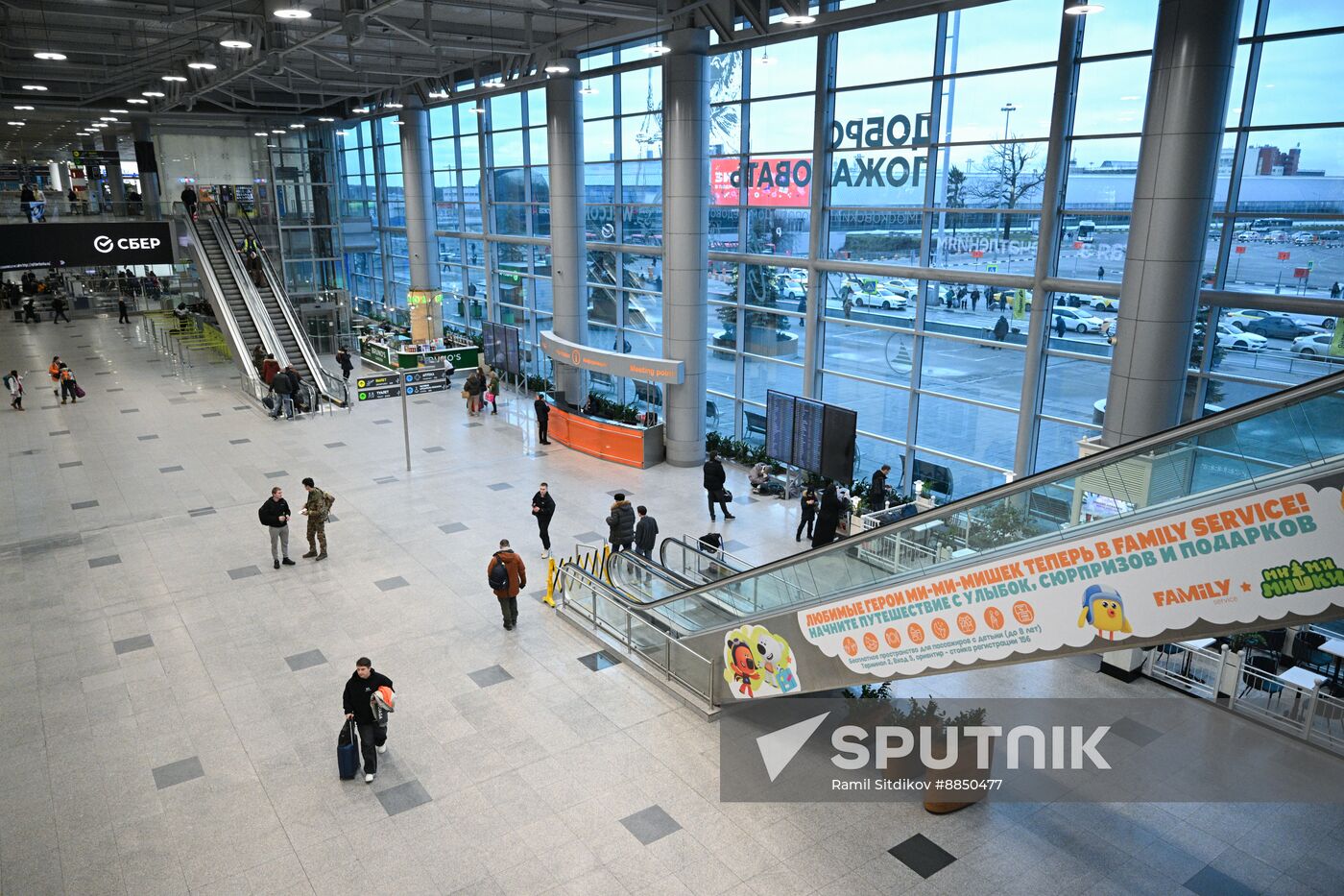 Russia Domodedovo Airport Privatization Probe