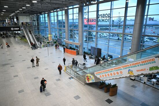 Russia Domodedovo Airport Privatization Probe