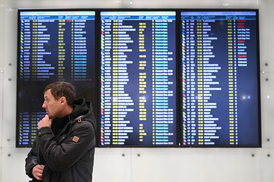 Russia Domodedovo Airport Privatization Probe