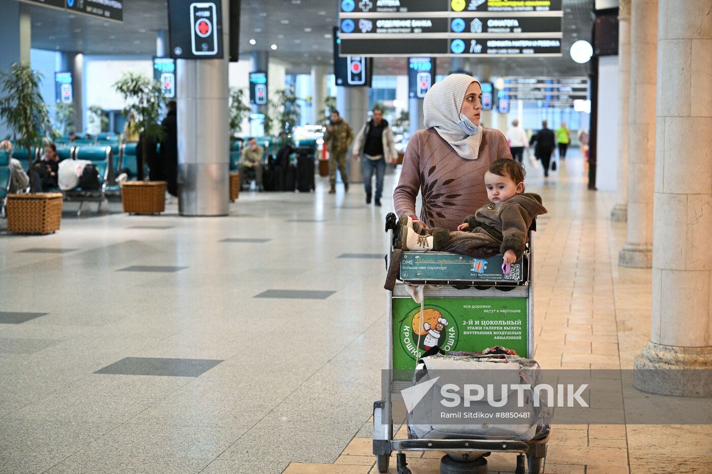 Russia Domodedovo Airport Privatization Probe