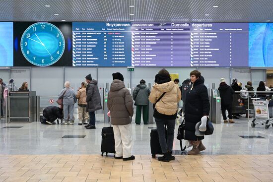 Russia Domodedovo Airport Privatization Probe