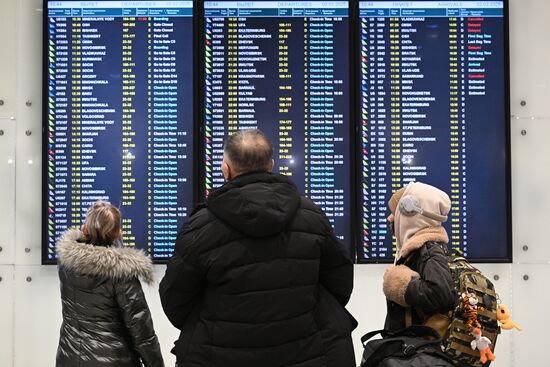 Russia Domodedovo Airport Privatization Probe