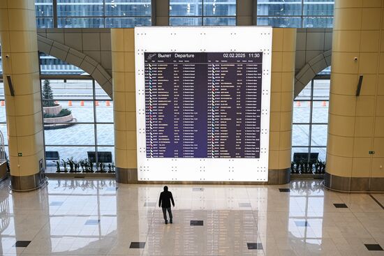 Russia Domodedovo Airport Privatization Probe